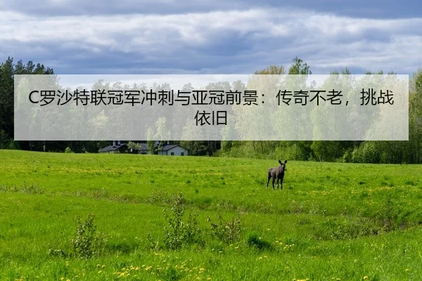 luo-sha-te-lian-guan-jun-chong-ci-yu-ya-guan-qian-jing-chuan-qi-bu-lao-tiao-zhan-yi-jiu-2-777.jpg