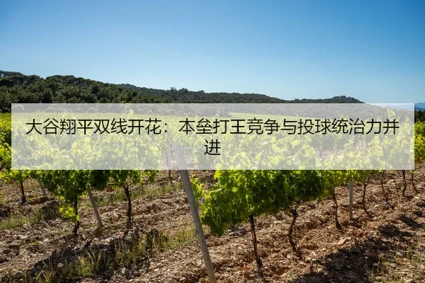 大谷翔平双线开花：本垒打王竞争与投球统治力并进