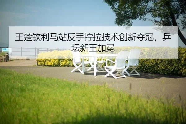 wang-chu-qin-li-ma-zhan-fan-shou-ning-la-ji-shu-chuang-xin-duo-guan-ping-tan-xin-wang-jia-mian-2-626.jpg