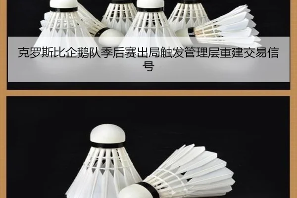 克罗斯比企鹅队季后赛出局触发管理层重建交易信号